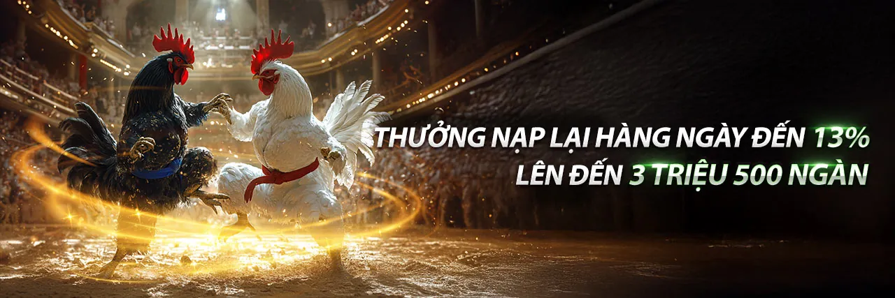 Sân đá gà sôi động tại Đá Gà 246.top